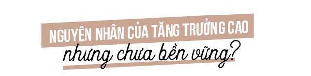 TS. Trần Hoàng Ngân: Phải chi Việt Nam có thêm nhiều người giàu từ sản xuất như ông chủ của ô tô Trường Hải, thép Hoà Phát - Ảnh 1.