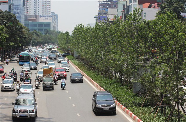 Hàng cây phong lá đỏ vẫn xanh tốt giữa Thủ đô, bất chấp trời nắng gắt - Ảnh 1.