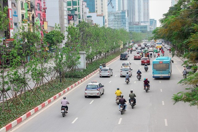 Hàng cây phong lá đỏ vẫn xanh tốt giữa Thủ đô, bất chấp trời nắng gắt - Ảnh 10.