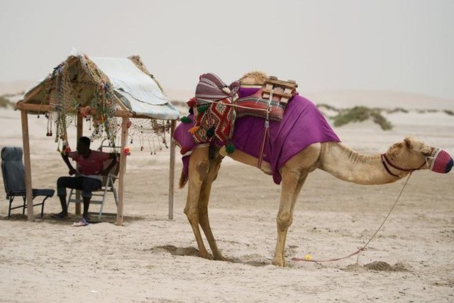  Hình ảnh đất nước Qatar hiện đại và đáng sống giữa sa mạc nóng bỏng - Ảnh 11.