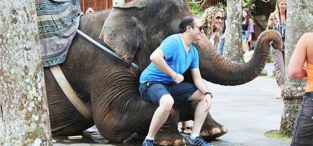 Ảnh: Xót xa cảnh động vật bị ngược đãi tại “thiên đường” du lịch Bali - Ảnh 9.