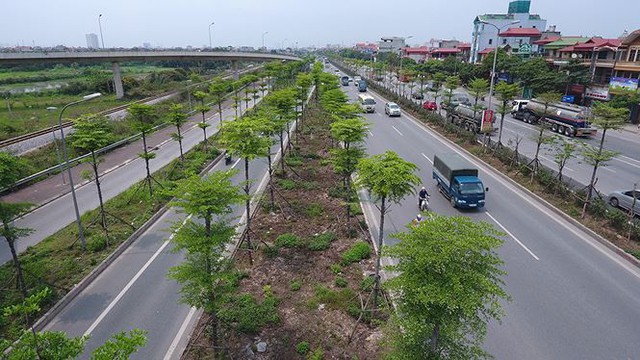 Những hàng cây xanh mướt thẳng tắp ở đầu cầu Thanh Trì - Ảnh 14.