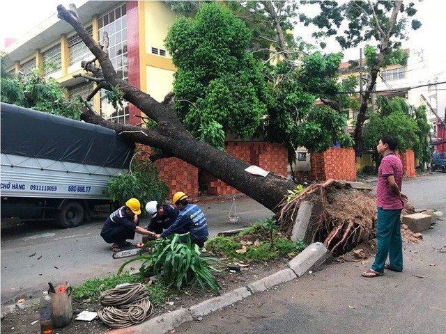  Mưa kèm gió mạnh ở Sài Gòn làm sập mái nhà, cây xanh ngã đè xe tải - Ảnh 2.