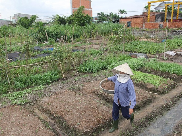 Trễ hẹn hồ sơ nhà, đất tại nhiều quận, huyện - Ảnh 1.