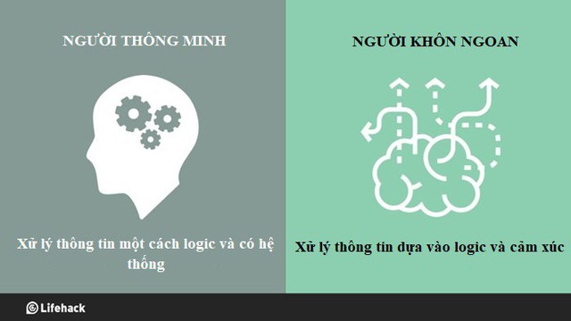 Thế giới có 2 kiểu người trí tuệ: Thông minh và khôn ngoan, bạn thuộc kiểu nào? - Ảnh 3.