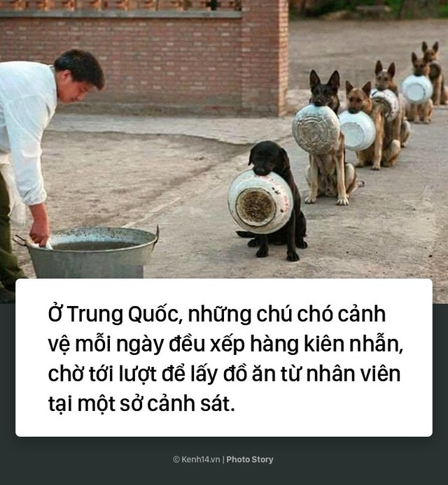 8 câu chuyện khiến bạn tin rằng thế giới này vẫn còn rất nhiều điều tốt đẹp - Ảnh 2.