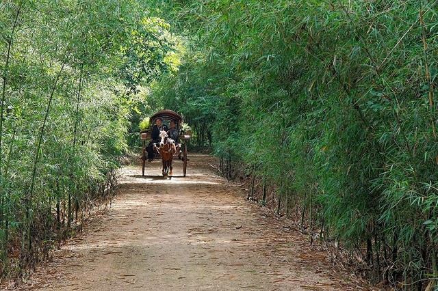 TP.HCM tổ chức diễn đàn du lịch với chủ đề thông minh  - Ảnh 1.