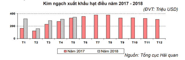 Các nhà máy chế biến hạt điều trong nước đang thiếu nguyên liệu - Ảnh 1.