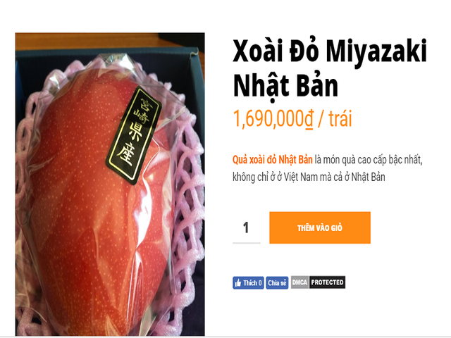 Giá xoài siêu đắt bán tại Việt Nam: 1,7 triệu đồng/trái - Ảnh 1.