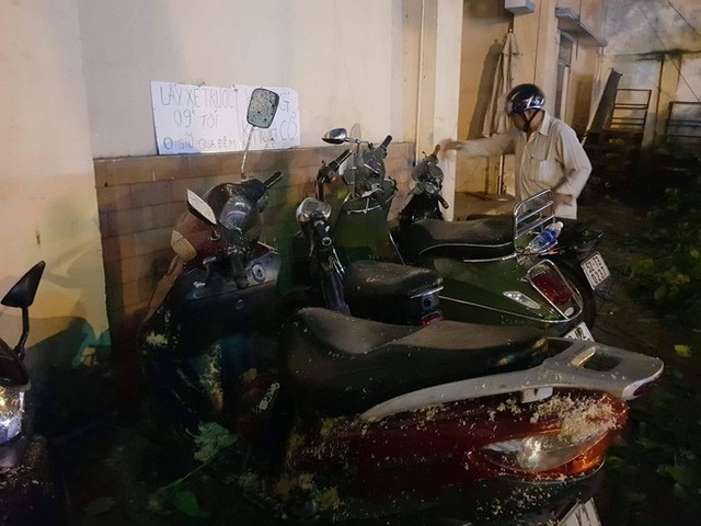 Cây xanh gãy đổ đè hàng loạt xe máy tại TP HCM - Ảnh 3.