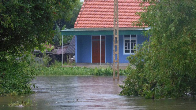  Hàng trăm ngôi nhà bị cô lập trước lúc bão vào, di dời hơn 15.000 dân - Ảnh 2.