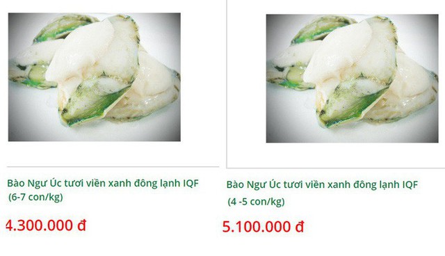 Bào ngư viền xanh 7 triệu đồng/kg, đắt bỏng tay nhà giàu vẫn chi tiền mua tẩm bổ - Ảnh 3.