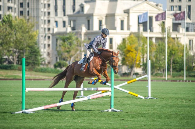 Quên golf đi, đây mới là bộ môn thể thao đang được giới siêu giàu Trung Quốc yêu thích - Ảnh 4.