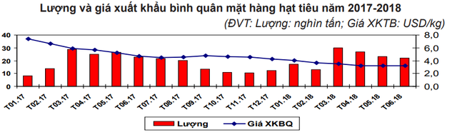 95% sản lượng hạt tiêu của Việt Nam được dùng để xuất khẩu - Ảnh 2.