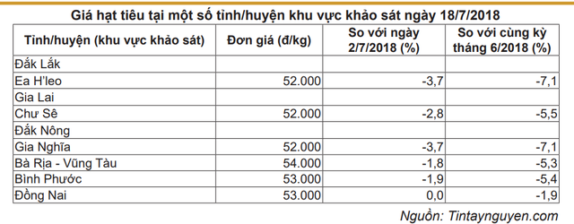 95% sản lượng hạt tiêu của Việt Nam được dùng để xuất khẩu - Ảnh 1.
