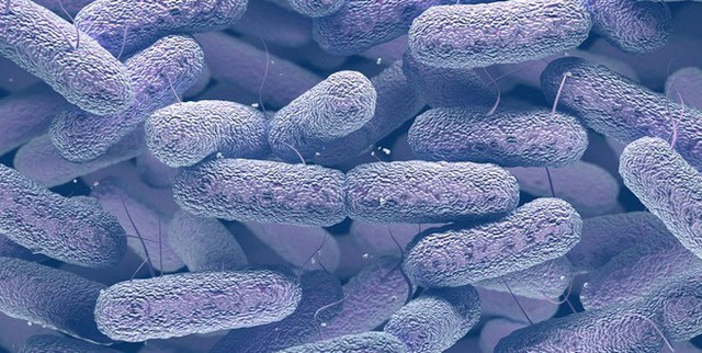 Vi khuẩn vô hại trong ruột biến thành dạng ăn thịt người, giết chết 5 bệnh nhân Trung Quốc từ đầu năm tới nay - Ảnh 1.