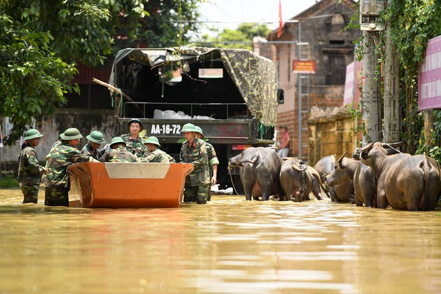 Sau 1 tuần mưa, người Hà Nội dùng thuyền tự chế, bơi trong dòng nước ngập ao bèo về nhà - Ảnh 13.