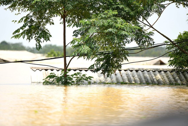 Sau 1 tuần mưa, người Hà Nội dùng thuyền tự chế, bơi trong dòng nước ngập ao bèo về nhà - Ảnh 25.