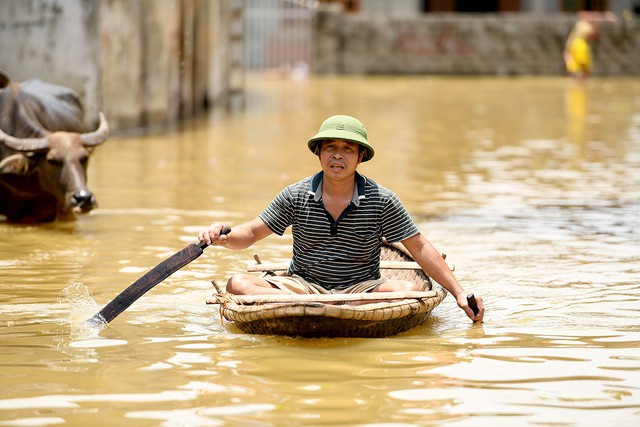 Sau 1 tuần mưa, người Hà Nội dùng thuyền tự chế, bơi trong dòng nước ngập ao bèo về nhà - Ảnh 6.