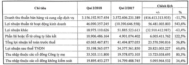 Savico (SVC): Quý 2 lãi 35 tỷ đồng tăng 80% so với cùng kỳ - Ảnh 1.