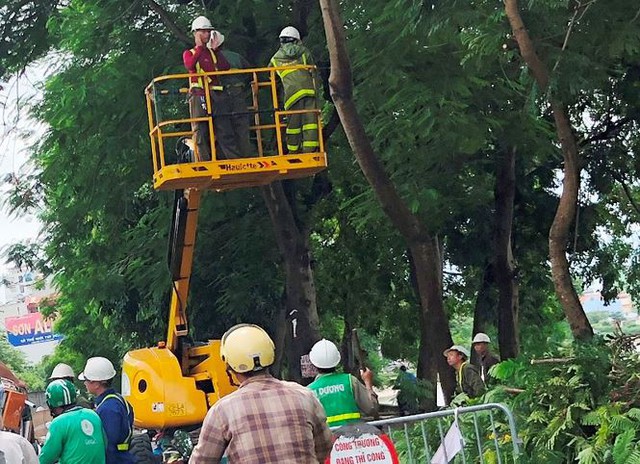 Ngăn đường chặt cây gây ùn tắc kéo dài  - Ảnh 2.