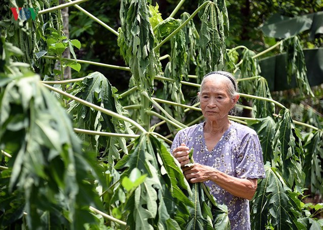 Nước lũ ngập nhà cửa tại Hà Nam, dân 9 tháng chạy loạn 2 lần - Ảnh 16.