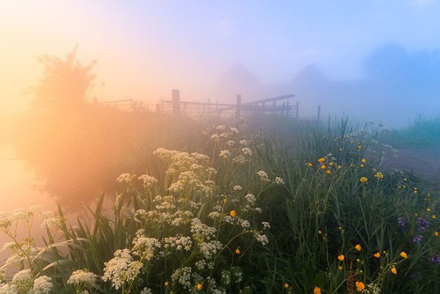 Làng cối xay gió ở Hà Lan chìm trong sương mù huyền ảo như cổ tích - Ảnh 6.