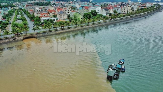 Vịnh Hạ Long đổi màu sau mưa lớn  - Ảnh 6.