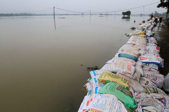 Cận cảnh mức chênh nước đê tả Bùi đe dọa nghìn hộ dân ở Hà Nội  - Ảnh 1.