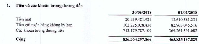 FLC đã dư tiền trên 800 tỷ đồng, LNST quý 2 gấp 5 lần cùng kỳ - Ảnh 1.