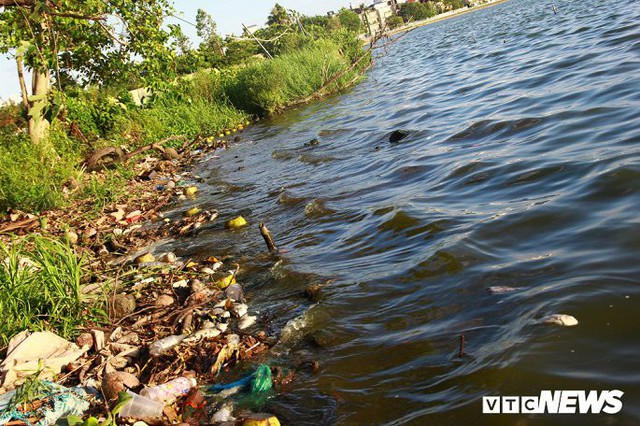 Hồ Tây ngập ngụa rác thải và cá chết, dân Thủ đô vẫn nô nức rủ nhau bơi lội - Ảnh 6.