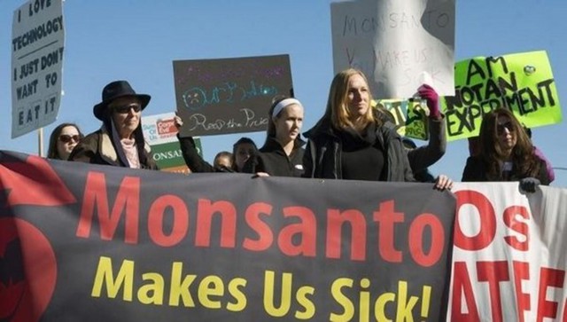 Những điều cần biết về Monsanto - tội đồ của môi trường toàn cầu - Ảnh 1.