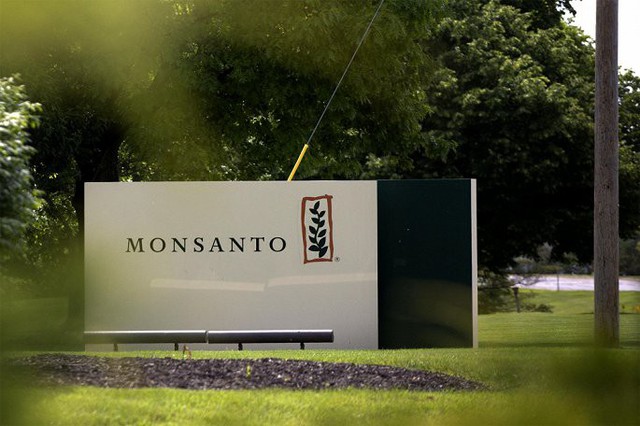 Những điều cần biết về Monsanto - tội đồ của môi trường toàn cầu - Ảnh 3.