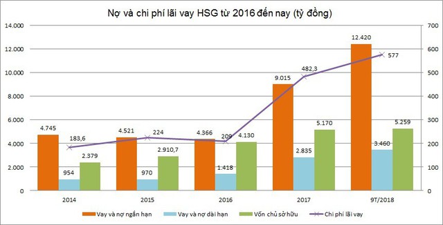 Dấu hỏi về khoản nợ vay 15.880 tỷ của Hoa Sen - Ảnh 1.