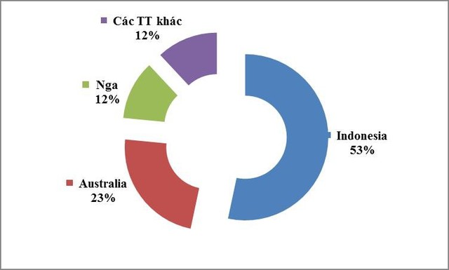 Than nhập khẩu từ Indonesia tăng cực mạnh nhờ giá rẻ - Ảnh 2.