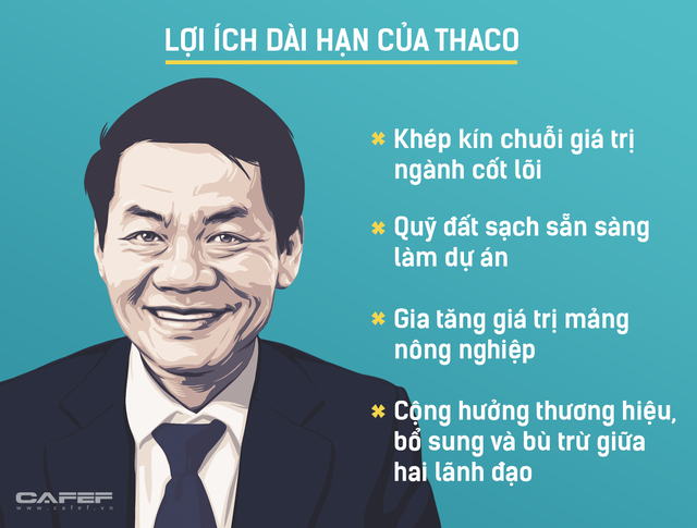 Đầu tư và tái cơ cấu nợ cả tỷ USD vào HAGL, Thaco muốn gì? - Ảnh 3.