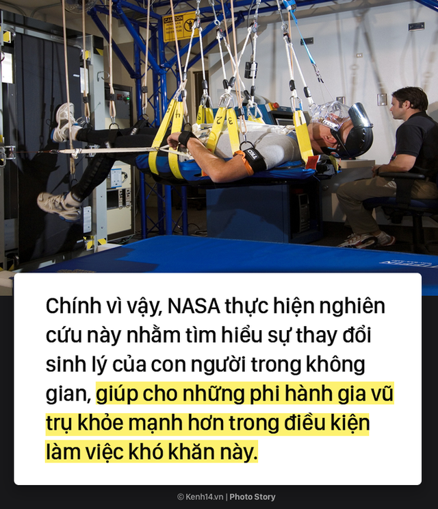 Việc nhẹ lương cao: Chỉ việc nằm trong 60 ngày, NASA trả bạn 2,3 tỷ đồng - Ảnh 6.