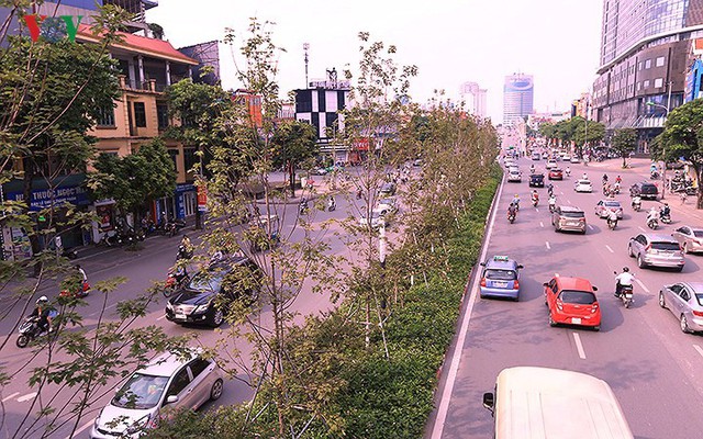 Những hàng cây Phong trên đường phố Hà Nội ngả màu khi Thu sang - Ảnh 5.