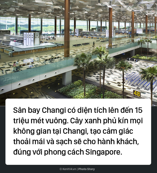 Đến sân bay đẳng cấp nhất thế giới này, dù có bị delay thì các hành khách vẫn thích thú - Ảnh 1.