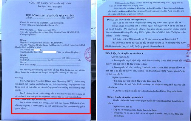 Sky Mining và bản hợp đồng “ma” qua mặt hàng trăm nhà đầu tư - Ảnh 1.