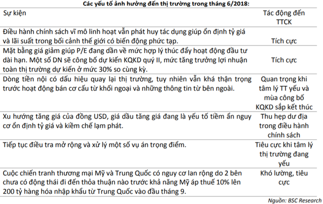 Chứng khoán BSC dự báo VN-Index có thể trở lại mốc 1.000 điểm trong tháng 8 - Ảnh 2.