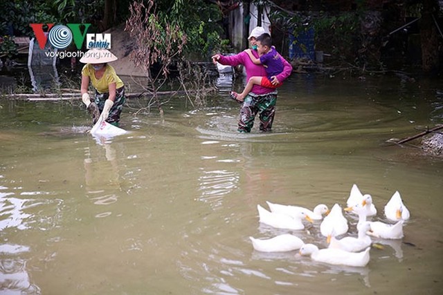 Ảnh: Sau ngập lụt dài ngày, dân Chương Mỹ đối mặt bệnh lở loét da - Ảnh 13.