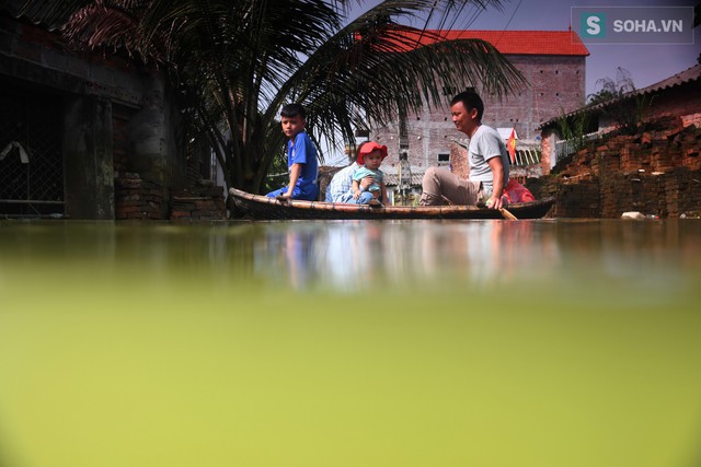  Thuỷ giới Chương Mỹ - góc nhìn từ trong lòng nước lũ - Ảnh 21.