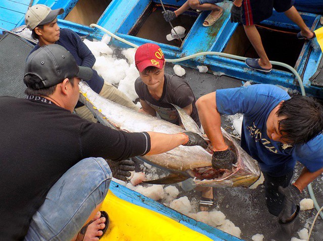 Thẻ vàng IUU làm giảm tăng trưởng xuất khẩu hải sản - Ảnh 1.