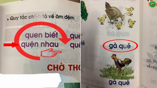  Sách tiếng Việt cho trẻ lớp 1 có nhiều vấn đề sai lệch, phản cảm và sự phản biện của người trong cuộc - Ảnh 4.