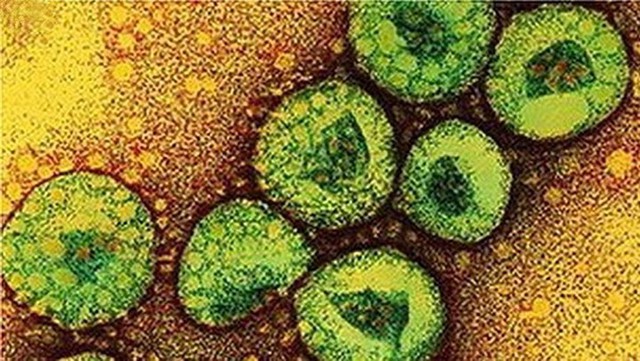 Virus tử thần MERS-CoV nguy hiểm như thế nào? - Ảnh 1.