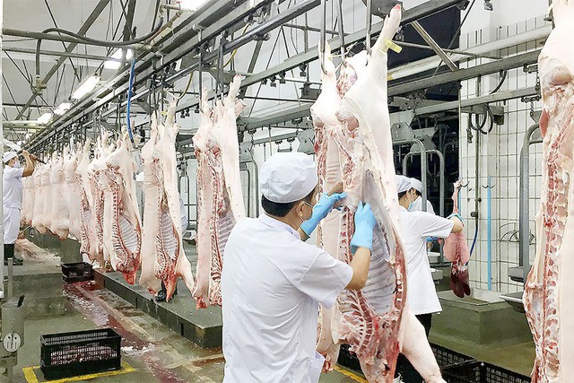 Lợn nội dư thừa, vẫn nhập trên 3.263 tấn thịt lợn ngoại mỗi tháng - Ảnh 2.