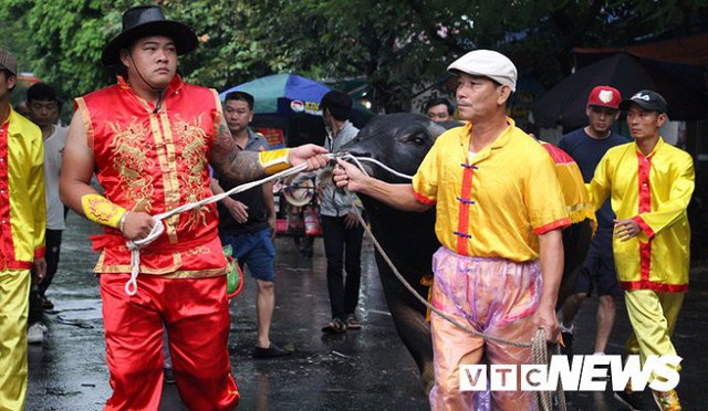 Ảnh: Đồ Sơn trống giong cờ mở khai mạc Lễ hội chọi trâu 2018 - Ảnh 3.