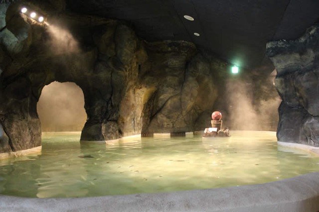 Trải nghiệm du lịch mới lạ: Bạn có thể tắm trong rượu vang hoặc trà xanh tại công viên giải trí suối nước nóng này ở Nhật Bản - Ảnh 5.