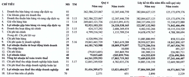 HUDLAND (HLD): Quý 4 lãi ròng hơn 51 tỷ đồng cao gấp 4 lần cùng kỳ - Ảnh 1.